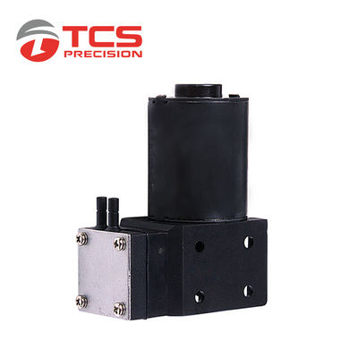 Beauty Machine Micro Vacuum Pump DC 12V 24V Stainless Steel Mini Gas Pump