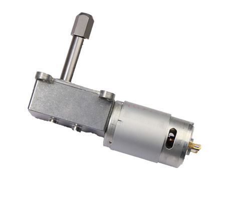 Customized Micro DC Worm Gear Motor 12V Gear Reduction Motor 0.17A Current