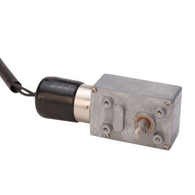 Vertical 34mm DC Worm Gear Motor Brushless Parallel Axis DC 12V Low Speed